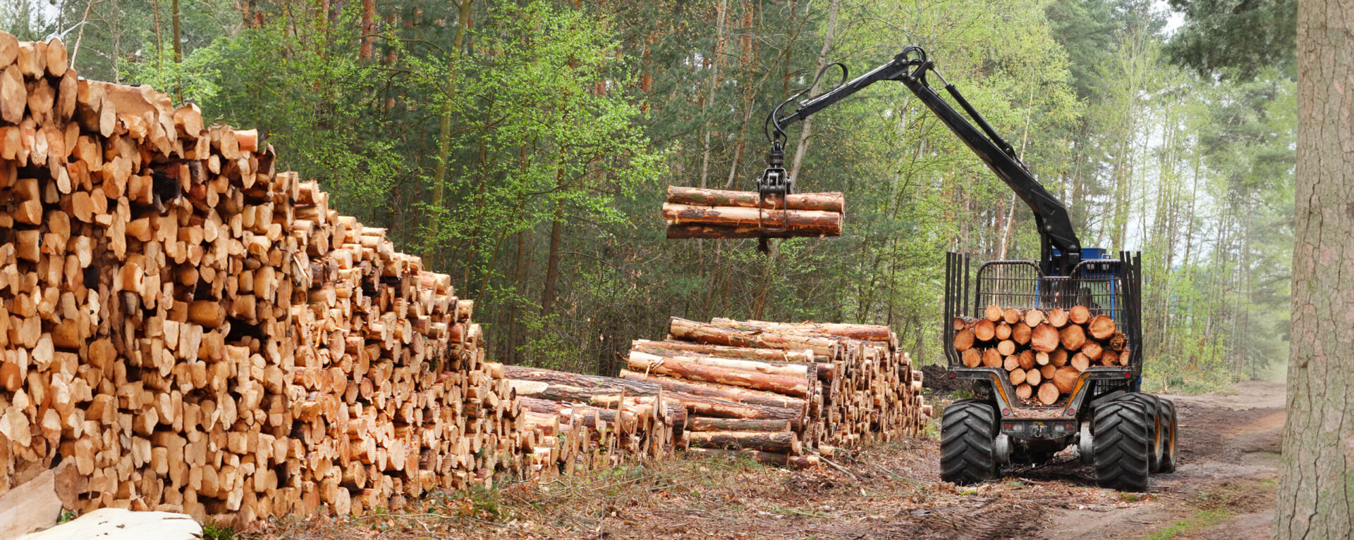 RFA designed advanced forestry equipment