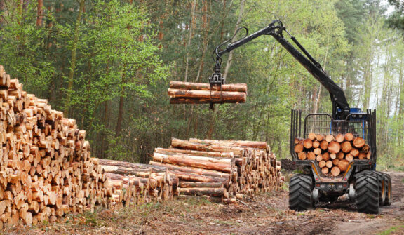 RFA Engineering-designed forestry equipment stacking logs in a forest, demonstrating efficient timber handling and durability.